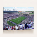 The Texas Christian University TCU Horned Frogs Football