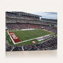 The Temple University Owls Athletics Team Print -