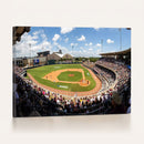 The Texas A&M University Aggies Athletics Team Print -