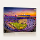 The Louisiana State University Tigers Football Team Print -