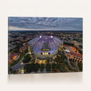 The Louisiana State University Tigers Football Team Print -