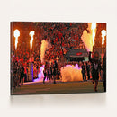 The University of Texas at San Antonio Roadrunners Football