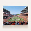 Oregon State Beavers Football Team Print - Corvallis Reser