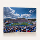Air Force Falcons Football Team Print - Colorado Springs