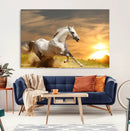 Large Wall Art Galloping White Horse at Sunset Canvas Print