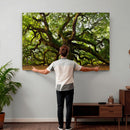 Angel Oak Tree Wall Art Canvas Print | Forest Tree Nature