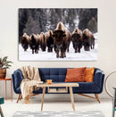Bison Wall Art Canvas Print- Bison Herd Canvas Wall Art –