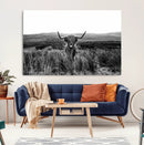 Black and White Highland Cow Canvas Wall Art, Longhorn by MyGreatCanvas | Canvas Wall Art Prints | Photo Prints & Wall Decor