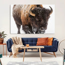 Bison Wall Art Canvas Print For Farmhouse, Wild Animal Wall by MyGreatCanvas | Canvas Wall Art Prints | Photo Prints & Wall Decor