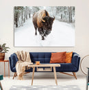 Bison Wall Art Canvas Print For Farmhouse, Animal Canvas