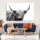 Black White Scottish Highland Cow Cattle Art Print Farmhouse