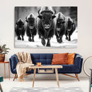 American Bison Art | Buffalo Herd Wall Art Canvas Print, BW