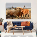 Highland Cow Canvas Wall Art Animal Print for Farm House