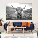 Black White Scottish Highland Cow Canvas Farm Wall Art