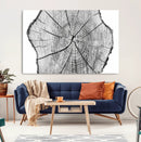 Rustic Tree Ring Wall Art Canvas Print – Framed and Ready to