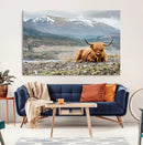 Highland Cow Horn Farm Wall Art Canvas Print