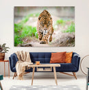Leopard on the Prowl - Stunning Large Framed Leopard Wall