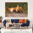 Sleeping Fox Wall Art Canvas Print, Farmhouse Wall Decor and