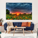 Golden Sunflower Field at Sunset – Breathtaking Sky and