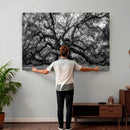 Black and White Old Angel Oak Tree Wall Art Canvas Print