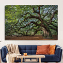 Historic Tree Wall Art – Framed Mossy Branch Canvas Artwork, by MyGreatCanvas | Canvas Wall Art Prints | Photo Prints & Wall Decor