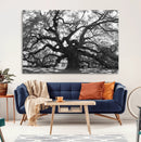 Ancient Oak Wall Art Canvas Print – Gnarled Tree Twisted by MyGreatCanvas | Canvas Wall Art Prints | Photo Prints & Wall Decor