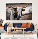 Texas Longhorn Wall Art Canvas Print – Framed Spotted Bull