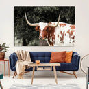 Texas Longhorn Wall Art Canvas Print – Framed Spotted Bull