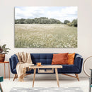Charming Daisy Field Wall Art Canvas Print – Framed Pastel