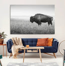 Bison in Prairie Wall Art Canvas Print – Framed Rustic by MyGreatCanvas | Canvas Wall Art Prints | Photo Prints & Wall Decor