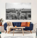 Monochrome Highland Cow Wall Art Canvas Print – Framed by MyGreatCanvas | Canvas Wall Art Prints | Photo Prints & Wall Decor