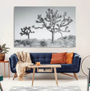 Joshua Tree Wall Art Canvas Print – Framed Black White by MyGreatCanvas | Canvas Wall Art Prints | Photo Prints & Wall Decor