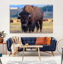 Bison Photography Wall Art Canvas Print – Framed Rustic by MyGreatCanvas | Canvas Wall Art Prints | Photo Prints & Wall Decor