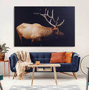 Bull Elk Decor Wall Art Canvas Print – Framed Elk by MyGreatCanvas | Canvas Wall Art Prints | Photo Prints & Wall Decor
