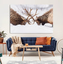 Elk Wall Art Canvas Print – Framed Wildlife Strength Snowy by MyGreatCanvas | Canvas Wall Art Prints | Photo Prints & Wall Decor