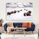Bison Herd Wall Art Canvas Print – Framed Western Wildlife by MyGreatCanvas | Canvas Wall Art Prints | Photo Prints & Wall Decor