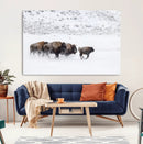 Bison Herd Decor Wall Art Canvas Print – Framed Snowy Bison by MyGreatCanvas | Canvas Wall Art Prints | Photo Prints & Wall Decor
