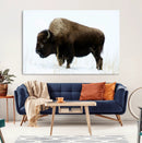 Bison Wall Art Canvas Print – Framed Western Wildlife by MyGreatCanvas | Canvas Wall Art Prints | Photo Prints & Wall Decor