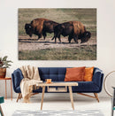 Bison Wall Art Canvas Print – Framed Western Wildlife Modern by MyGreatCanvas | Canvas Wall Art Prints | Photo Prints & Wall Decor