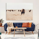 Bison Herd Wall Art Canvas Print – Framed Western Prairie