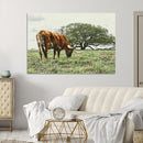 Texas Longhorn Wall Art Canvas Print – Rustic Western Ranch by MyGreatCanvas | Canvas Wall Art Prints | Photo Prints & Wall Decor