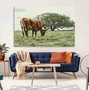 Texas Longhorn Wall Art Canvas Print – Framed Rustic Ranch by MyGreatCanvas | Canvas Wall Art Prints | Photo Prints & Wall Decor