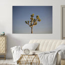 Joshua Tree Wall Art Canvas Print – Framed Southwestern