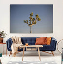 Joshua Tree Wall Art Canvas Print – Framed Southwestern by MyGreatCanvas | Canvas Wall Art Prints | Photo Prints & Wall Decor