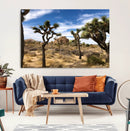 Joshua Tree Desert Wall Art Canvas Print – Framed by MyGreatCanvas | Canvas Wall Art Prints | Photo Prints & Wall Decor