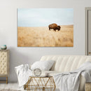 Buffalo Wall Art Canvas Print – Framed Western Wildlife
