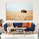 Buffalo Wall Art Canvas Print – Framed Western Wildlife by MyGreatCanvas | Canvas Wall Art Prints | Photo Prints & Wall Decor