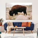 Western Wildlife Wall Art Canvas Print, Majestic Wilderness by MyGreatCanvas | Canvas Wall Art Prints | Photo Prints & Wall Decor
