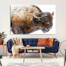 Snowy Buffalo Wall Art Canvas Print – Framed Rustic Lodge by MyGreatCanvas | Canvas Wall Art Prints | Photo Prints & Wall Decor