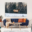 Wild Elk Wall Art Canvas Print – Framed Winter Wildlife by MyGreatCanvas | Canvas Wall Art Prints | Photo Prints & Wall Decor